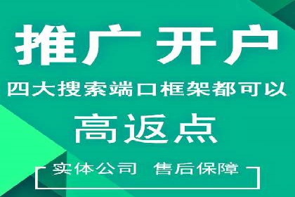 某公司SEM代理策略：实现流量转化